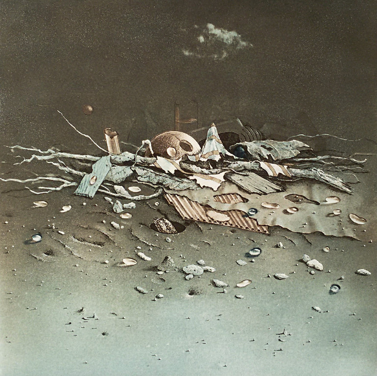 Hiroshi Asada - Wrakhout, aquatint ets verkocht voor € 55!