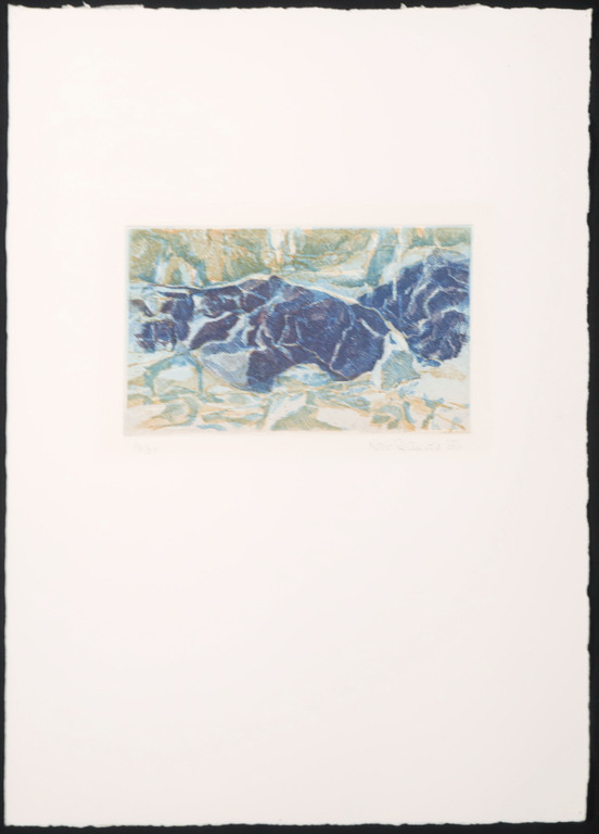 Nono Reinhold: Ets, Petits Oiseaux des Tenebres kopen? Bied vanaf 35!