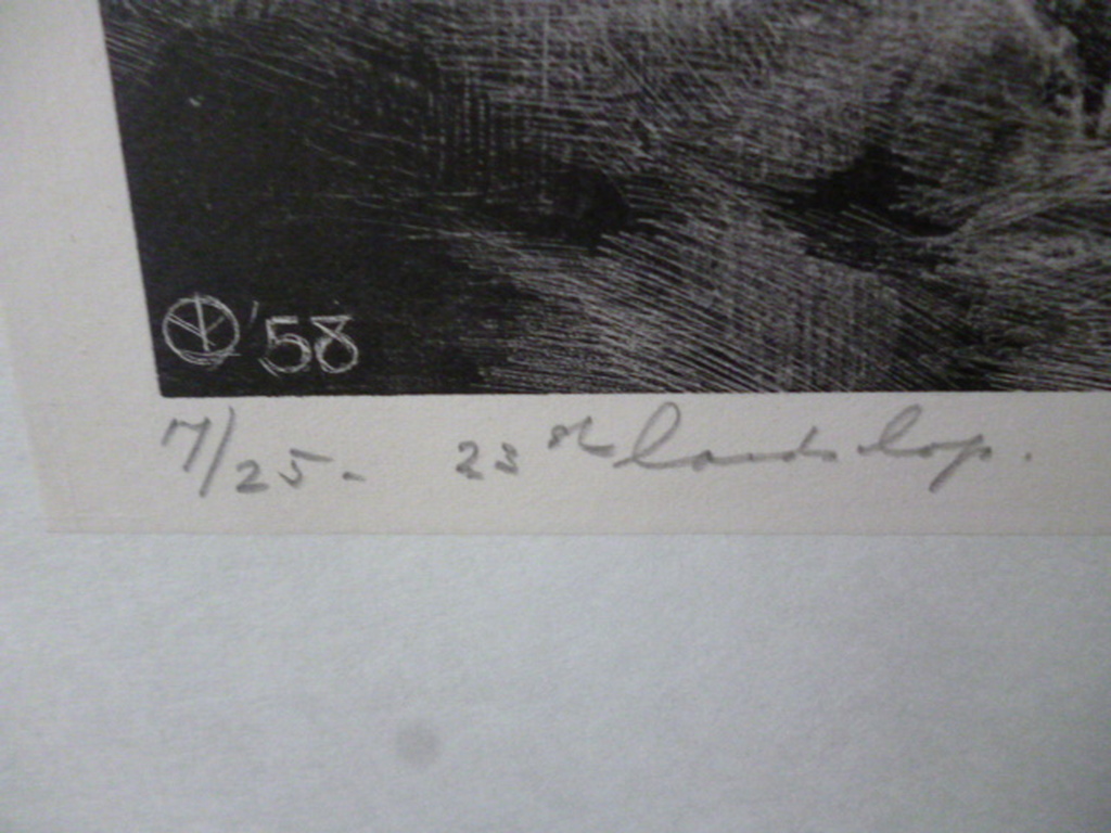 Aart van Dobbenburgh - litho - 23ste Landschap kopen? Bied vanaf 40!