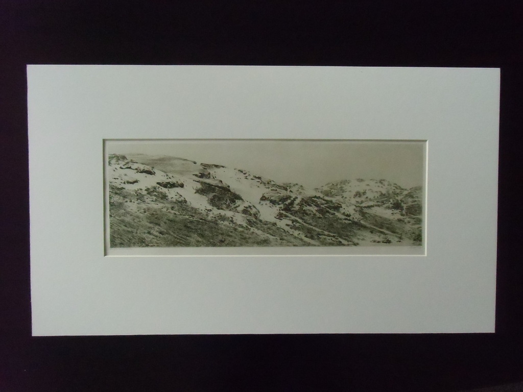 GROOT DUINLANDSCHAP // ETS VAN DIRK HARTING verkocht voor € 40!