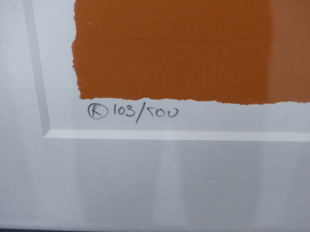 Hans Innemee,Zeefdruk op papier, Ingelijst,Handgesigneerd,Titel Frog. kopen? Bied vanaf 50!