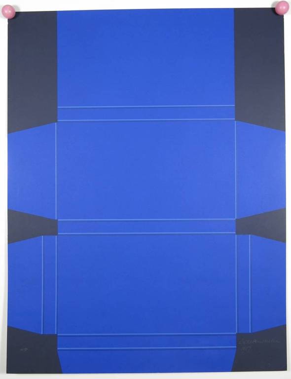 Lode Pemmelaar: Zeefdruk, Uitgevouwen blauwe doos kopen? Bied vanaf 60!