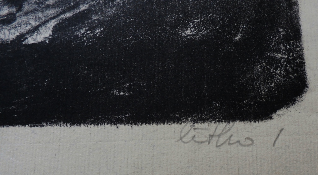 Kees Buurman - Litho: Fles en lithosteen kopen? Bied vanaf 45!