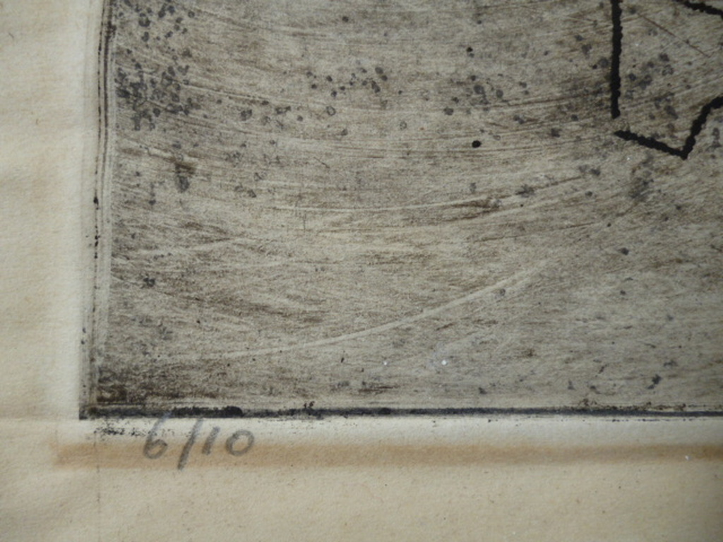 Frans Verpoorten - kleurenets - De groene ara kopen? Bied vanaf 55!