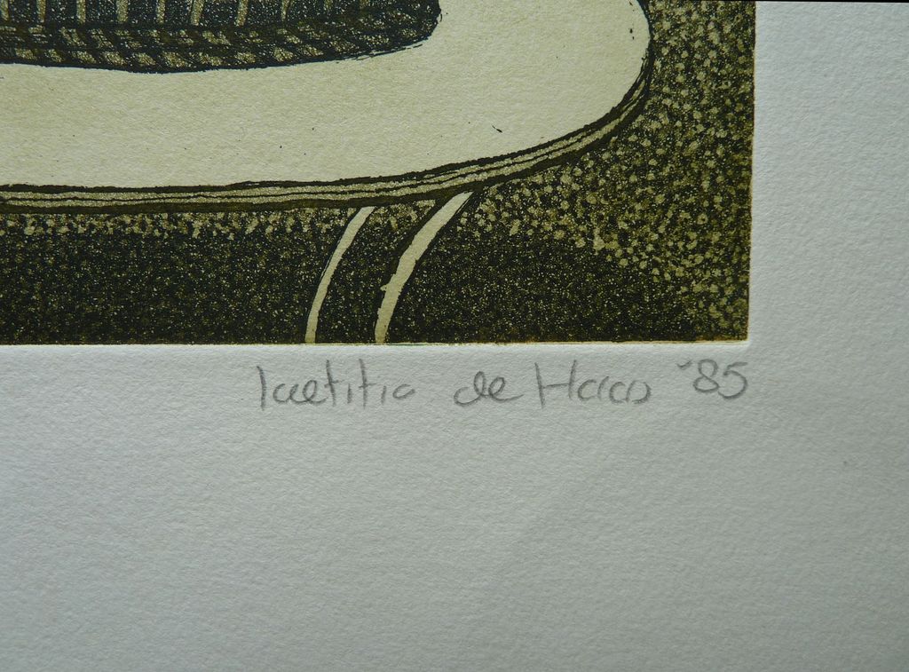 Laetitia de Haas, Kleurenlitho, Tuinhuis kopen? Bied vanaf 10!