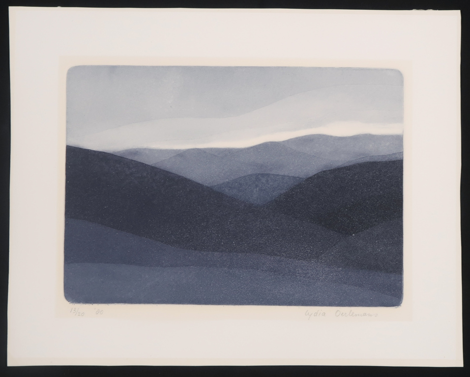 Lydia Oerlemans: Ets en aquatint, Zonder titel kopen? Bied vanaf 40!