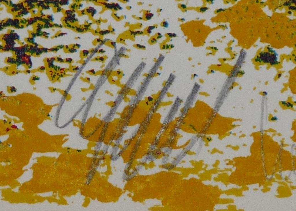 Karel Appel, Kleurenzeefdruk, De Tovenaar, Gesigneerd kopen? Bied vanaf 199!