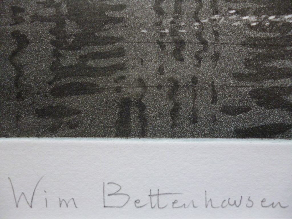 Wim Bettenhausen - kleurenets - Hofvijver in tegenlicht kopen? Bied vanaf 120!