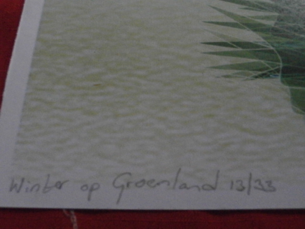 irene sminia * winter op groenland * digitale grafiek kopen? Bied vanaf 49!