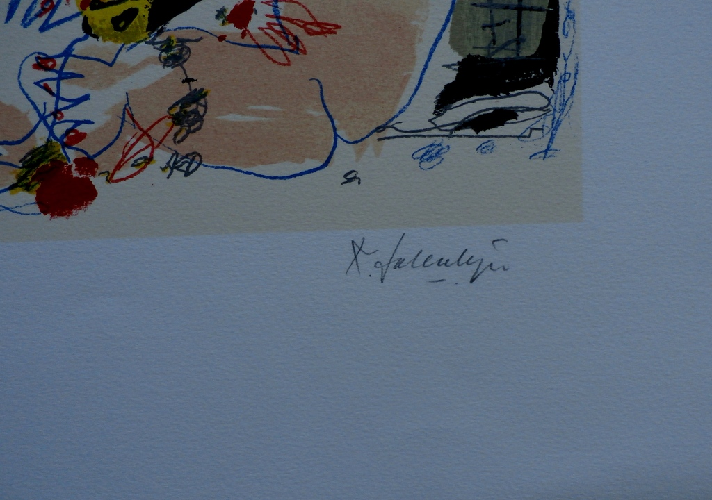 Kees Salentijn - litho - handgesigneerd  kopen? Bied vanaf 55!