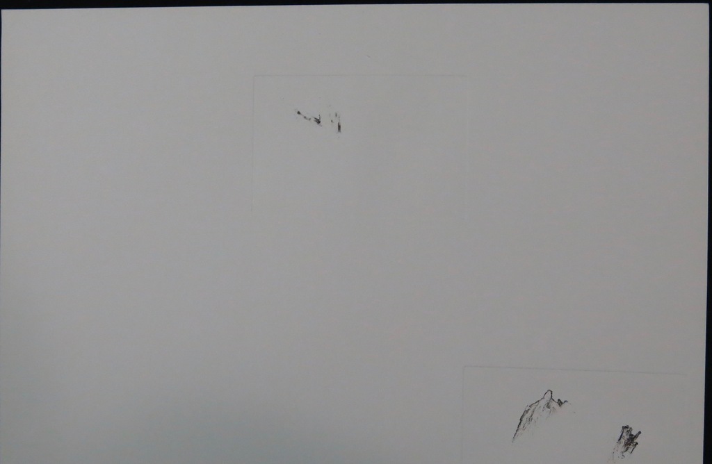 Paulien Wittenrood: Ets, Langs de takken...  kopen? Bied vanaf 1!