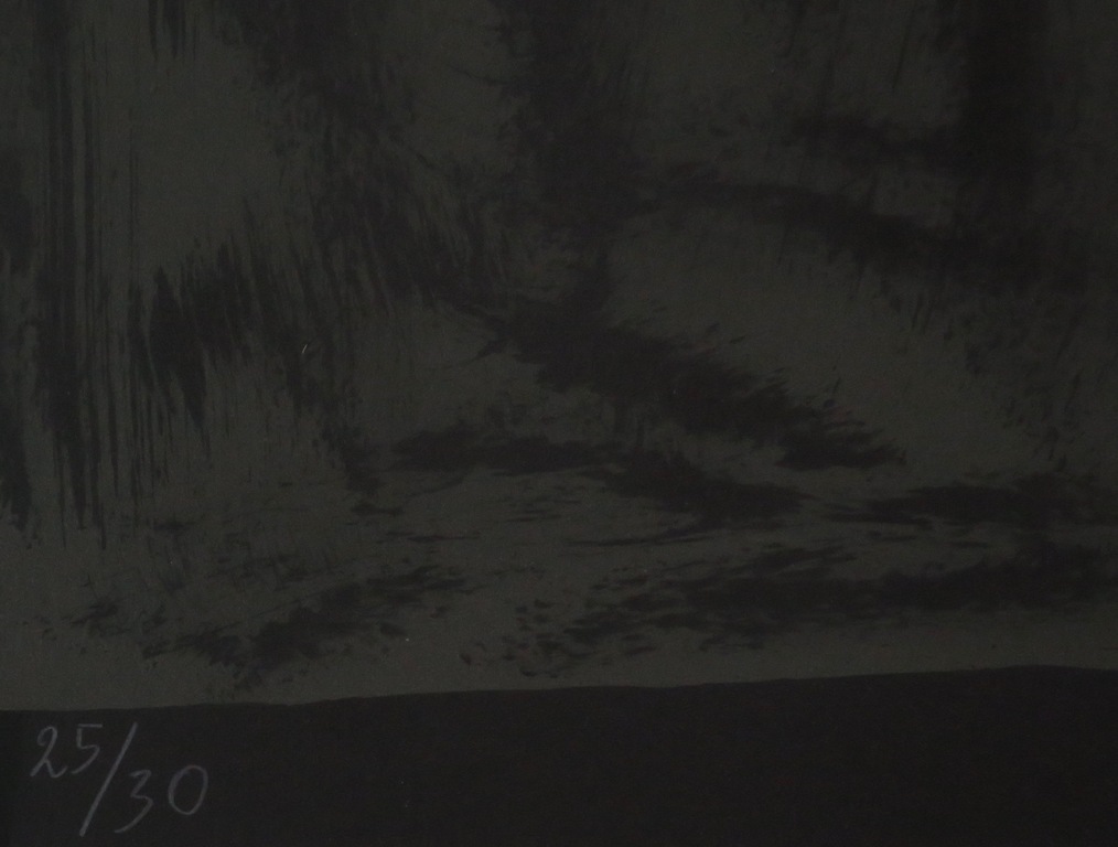 Klaas Gubbels: Zeefdruk, Kan - Ingelijst kopen? Bied vanaf 200!