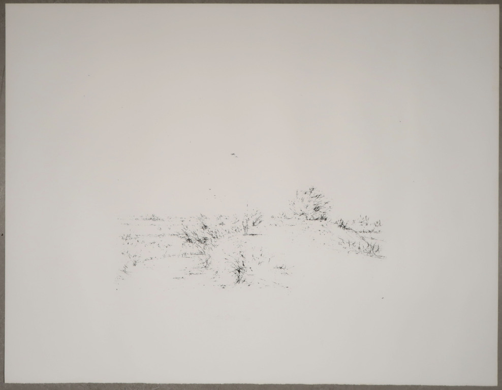 Willem den Ouden: Litho, Z.T. landschap kopen? Bied vanaf 1!