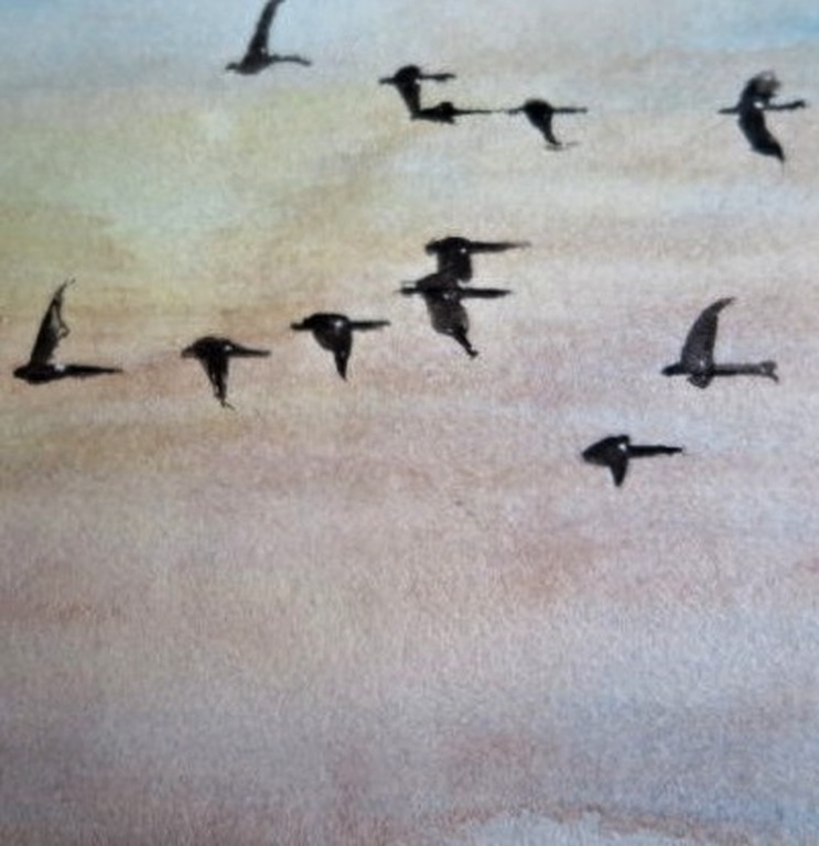 Toegeschreven aan Jan Goedhart (ongesigneerd) -Vogels in polder -in nette lijst kopen? Bied vanaf 1!