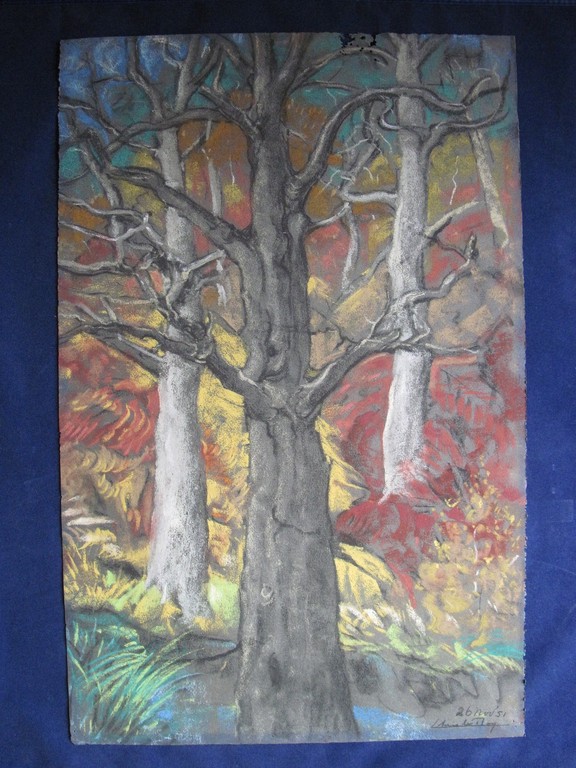 Handgesigneerde Krijttekening - Bomen in de Herfst - A(Arie) Leeflang  1906-1956 kopen? Bied vanaf 30!