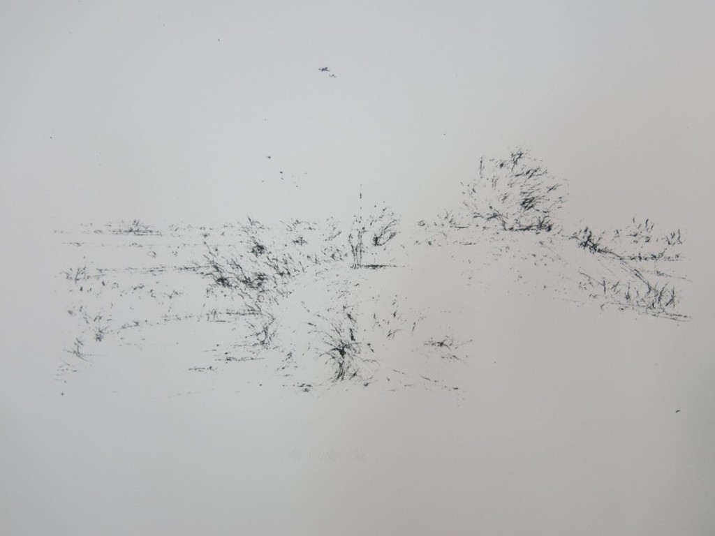 Willem den Ouden: Litho, Landschap verkocht voor € 118!