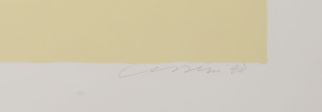 Henk van Vessem: Zeefdruk, De natuur ontvouwt zijn waaier kopen? Bied vanaf 1!