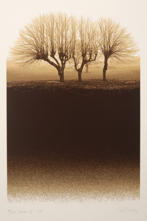 Piet Fioole: Zeefdruk, Aarde II kopen? Bied vanaf 35!