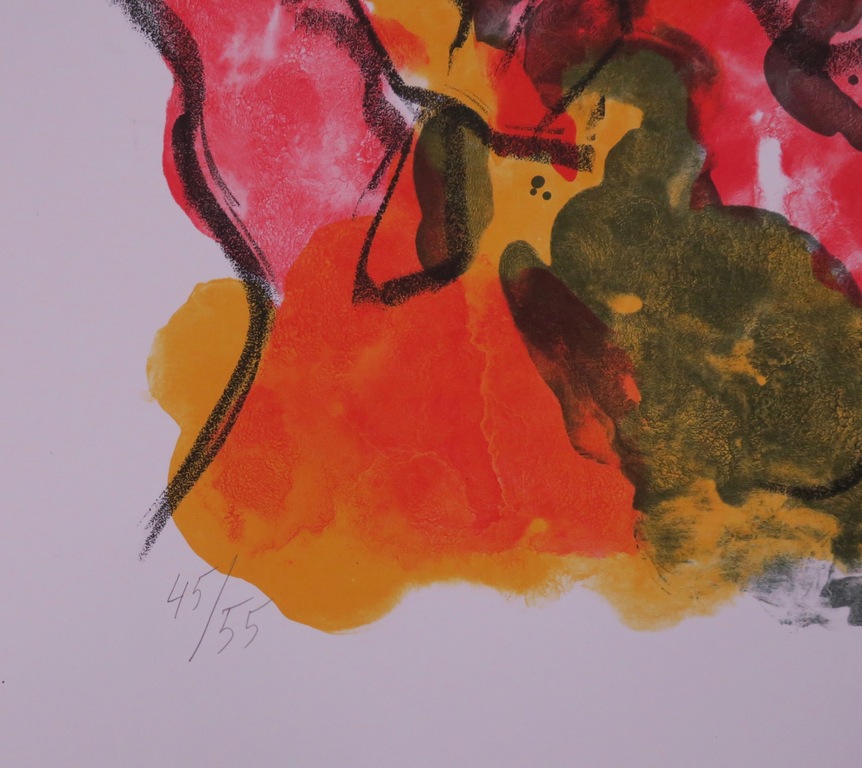 Jan Sierhuis: Litho, Flamenco (rood) kopen? Bied vanaf 70!