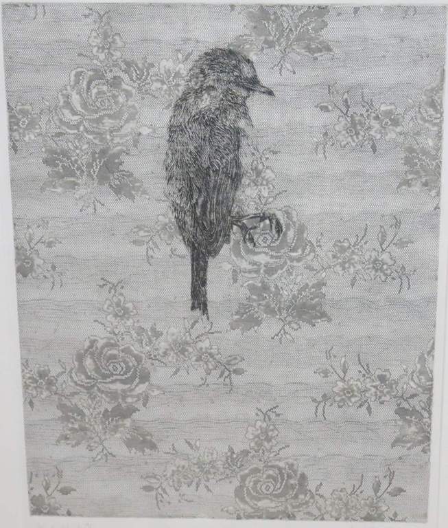 Judith Rosema: Ets, Kanten Vogel - Ingelijst verkocht voor € 100!