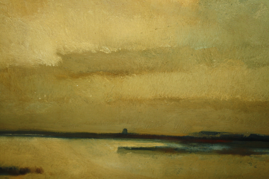 PLASGEZICHT IN DE SCHEMER VAN JOS ROVERS kopen? Bied vanaf 299!