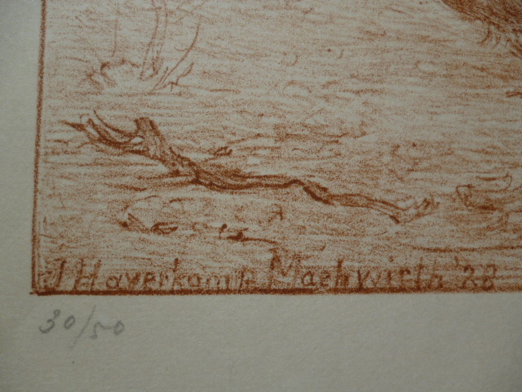Johanna Haverkamp-Machwirth - litho - Drie mussen kopen? Bied vanaf 35!