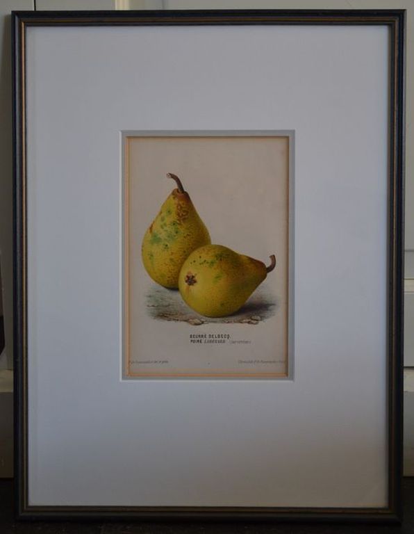 De Pannemaeker (1855-1885): Chromolitho, Beurre Delbecq Poire Laherard, ca 1880 kopen? Bied vanaf 20!