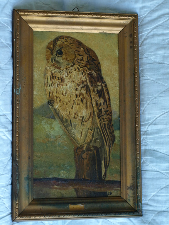 Gesigneerd B.D. : Olieverf op paneel , Uil – ingelijst– 1e helft 20e eeuw kopen? Bied vanaf 1!