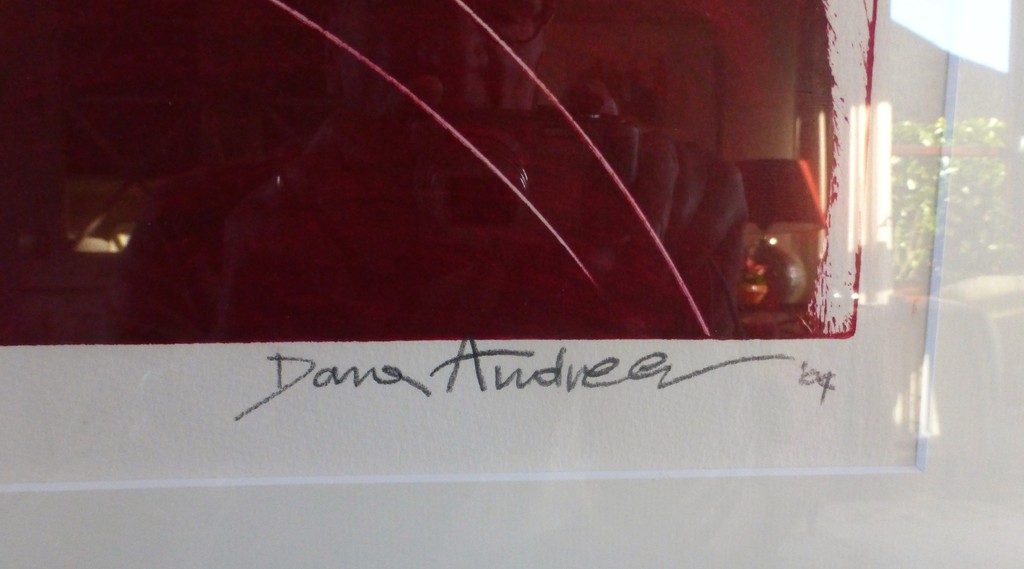 Dana Andreev  : Kleurenets , The Wish kopen? Bied vanaf 85!