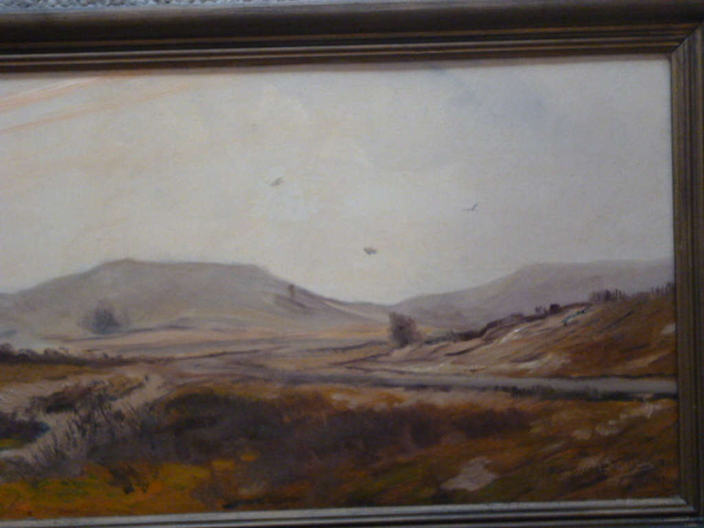 H.M.Savrij - olieverf - Duinlandschap kopen? Bied vanaf 90!