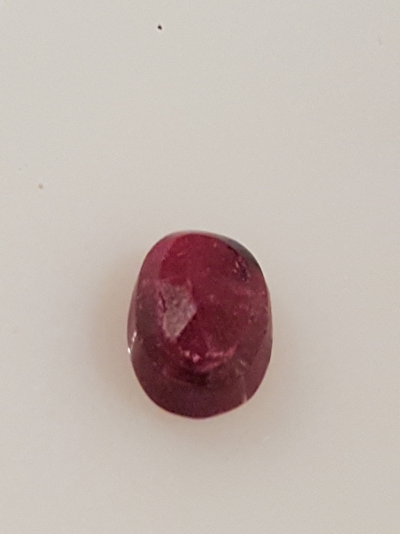 Duif bloed robijnen-lotto 01 kopen? Bied vanaf 1!