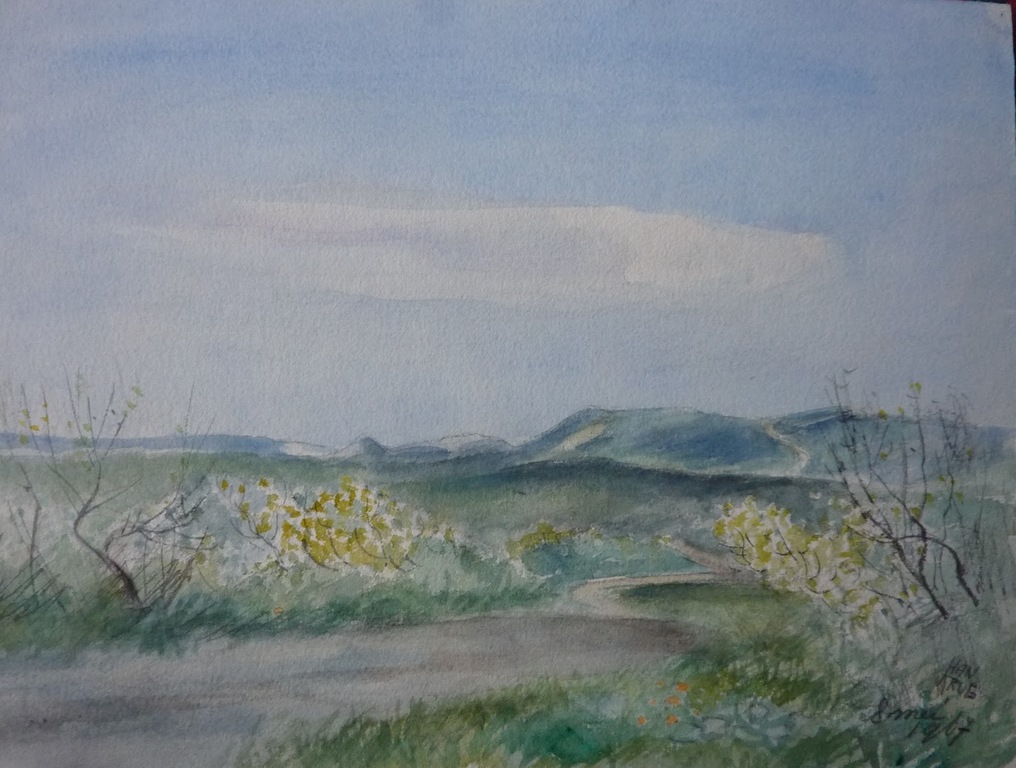 Han Krug aquarel "Duinlandschap"1967 verkocht voor € 35!