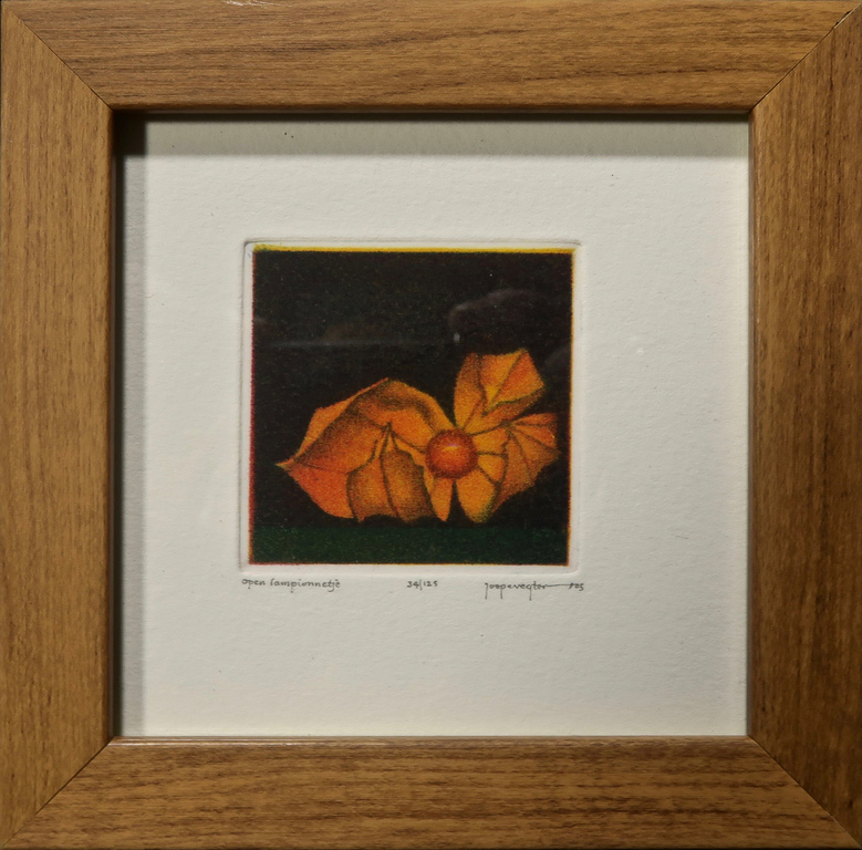 Lot met 4 werken van Joop Vegter: Mezzotint, Doorgesneden radijs.. - lijstjes kopen? Bied vanaf 60!