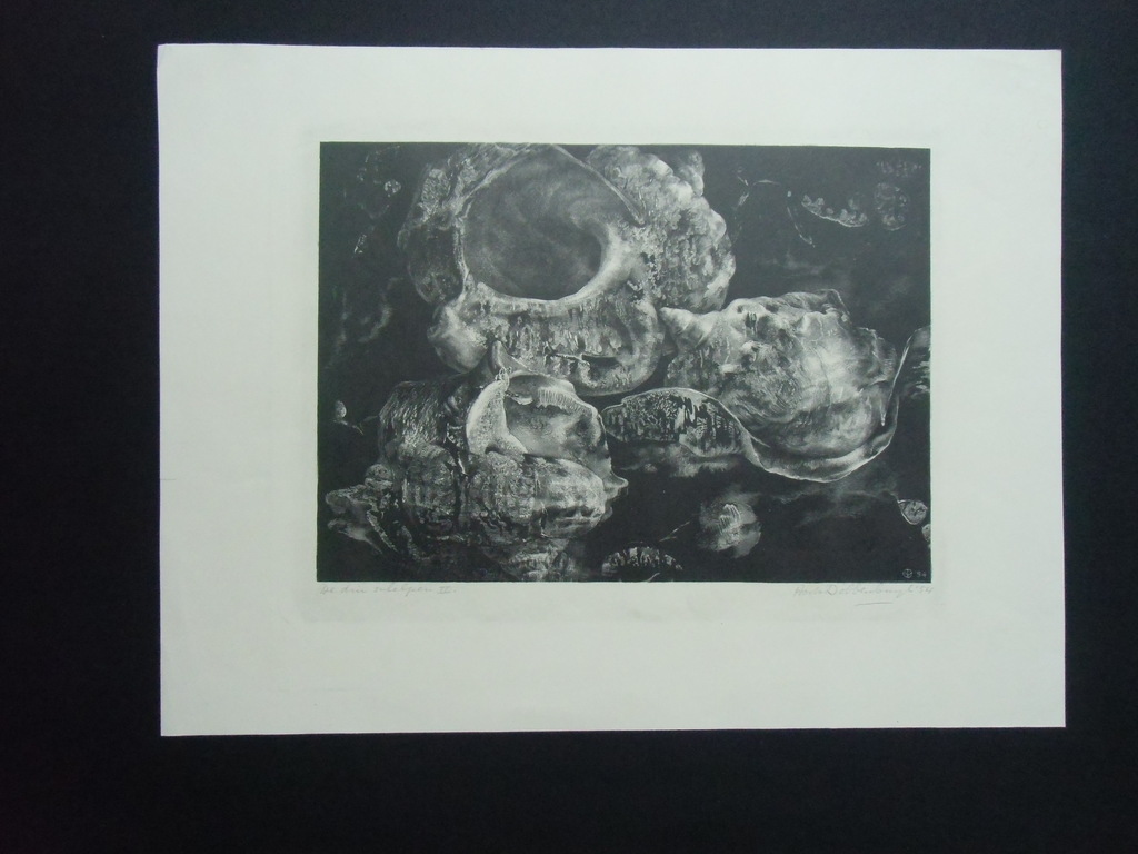 DE DRIE SCHELPEN II /// LITHO VAN AART VAN DOBBENBURGH verkocht voor € 40!