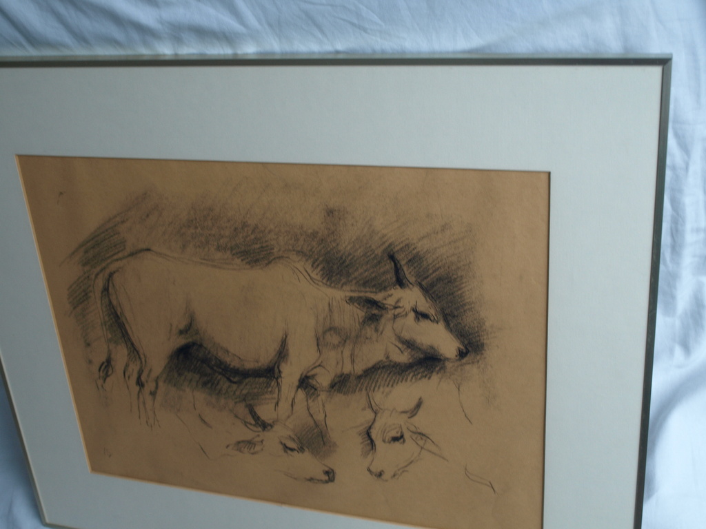 Jan Groenestein : Tekening , Koeien – gesigneerd & ingelijst – ca 1960 kopen? Bied vanaf 50!