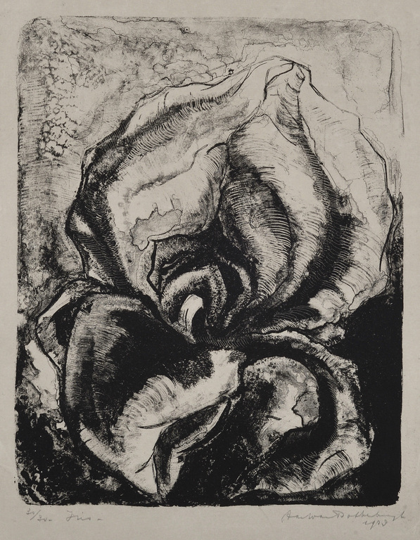 Aart van Dobbenburgh: Litho - Iris - 1923 verkocht voor € 35!