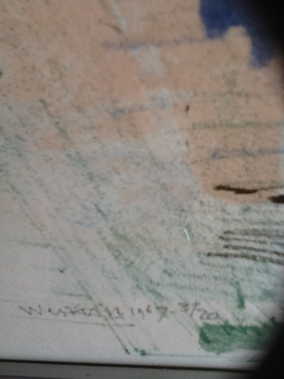 Co Westerik, 4 kleuren litho, Vrouw-Plant kopen? Bied vanaf 290!