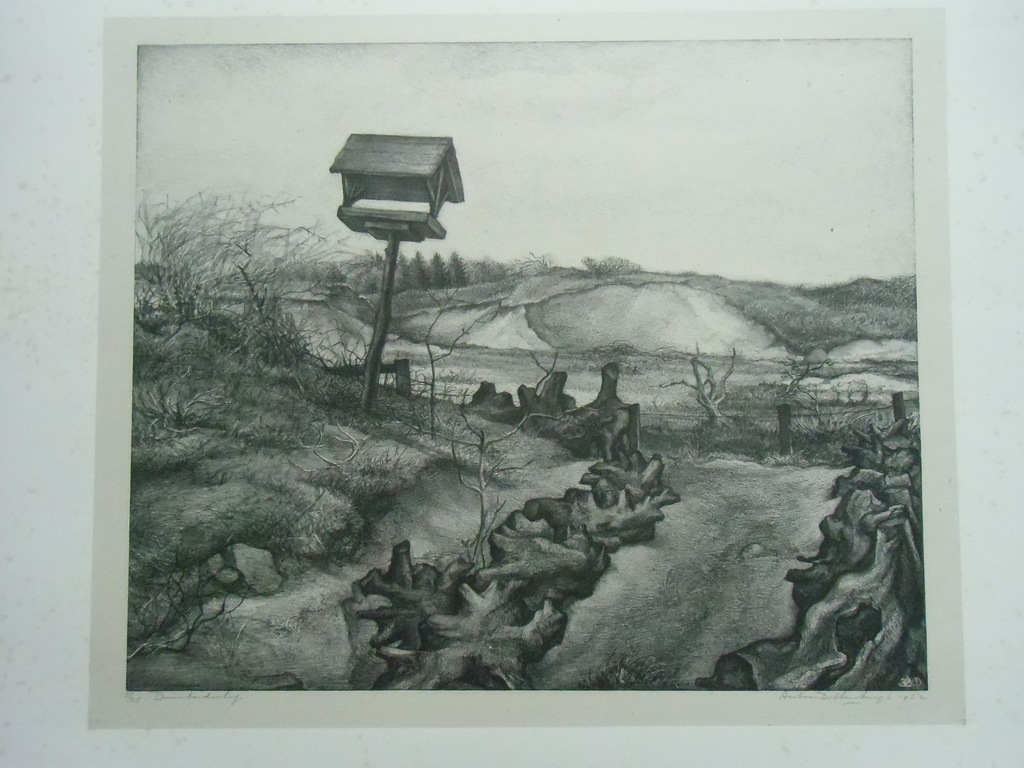 DUINLANDSCHAP  ///  LITHO VAN AART VAN DOBBENBURGH kopen? Bied vanaf 50!