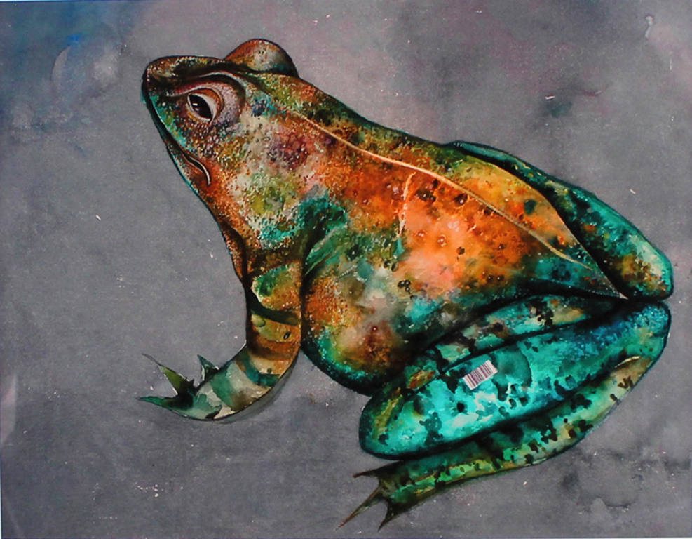 Bruno Bruni -RANA- Een bijna levensechte Pigmentdruk. Gesigneerd. 2017 verkocht voor € 97!