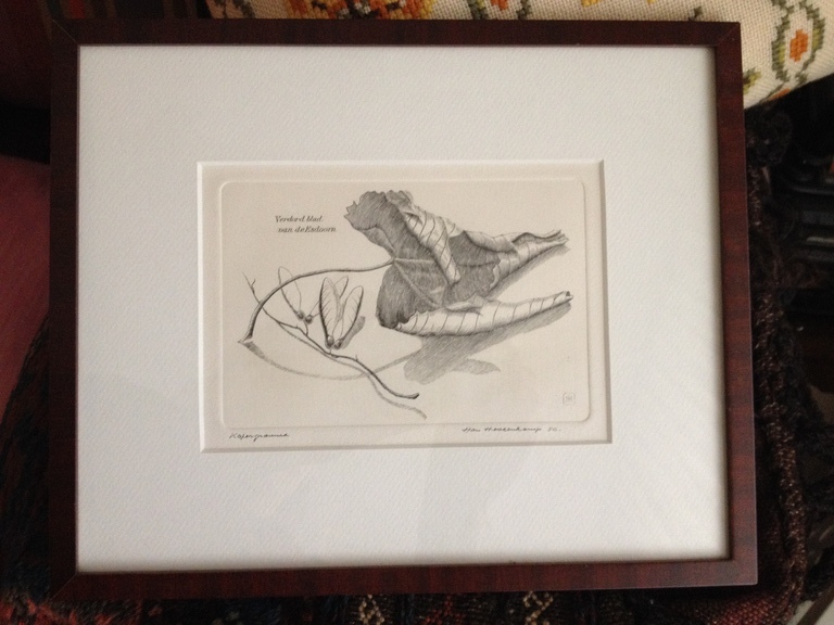 Onduidelijke gesign: Verdord blad van de Esdoorn, kopergravure, jaren ’70 [?] kopen? Bied vanaf 1!