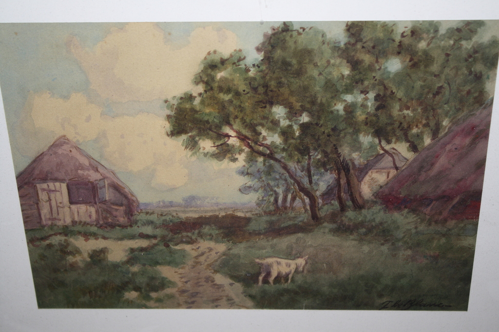 AC TERHELL - GEITJE in de TUIN kopen? Bied vanaf 55!