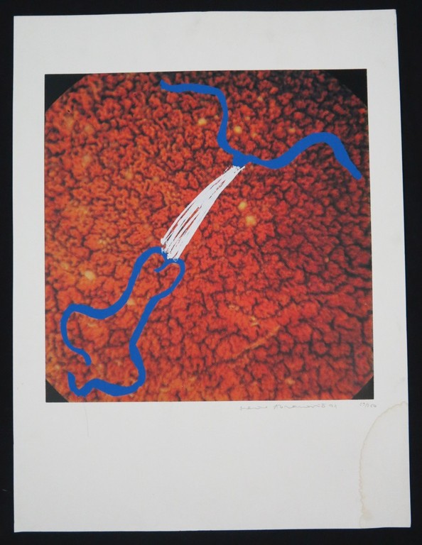 Marina Abramovic: Zeefdruk, zonder titel  kopen? Bied vanaf 35!