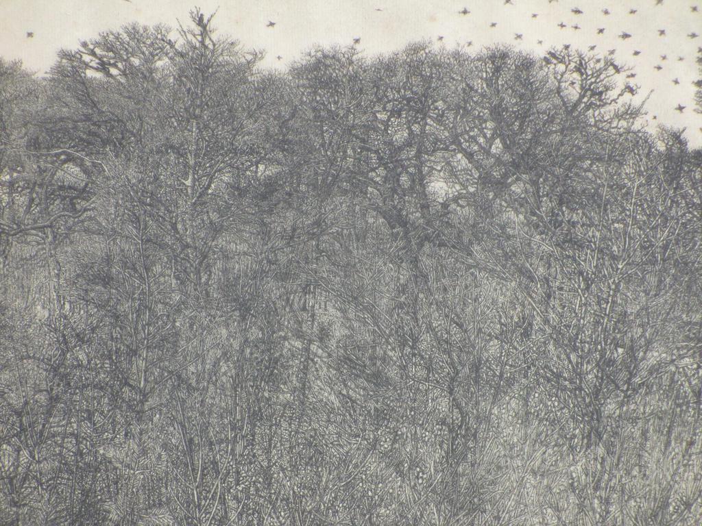 Rudolf Bremmer, Bosgezicht met vogels en vliegtuig, Houtsnede 1922 kopen? Bied vanaf 45!