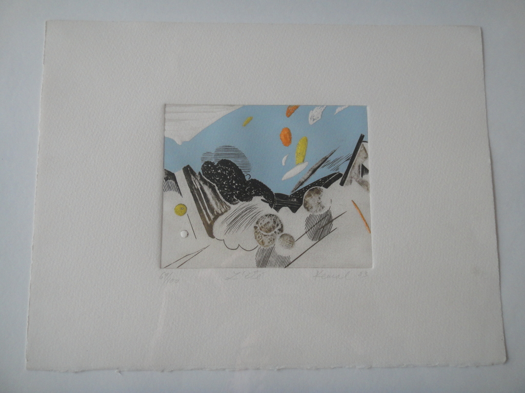 Kemal Sirbegovic, ets, " l'eté " kopen? Bied vanaf 1!