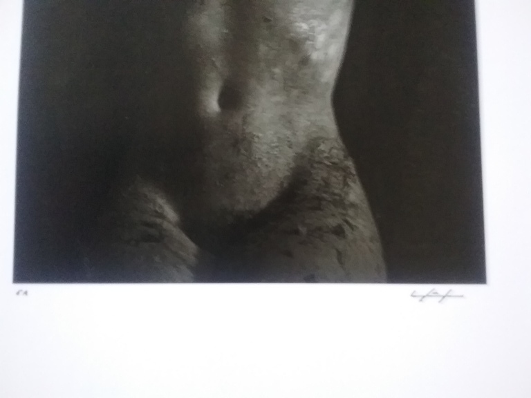 Ludo Geysels kopen? Bied vanaf 1!