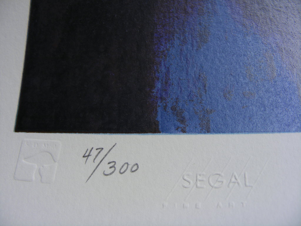 Lu Hong, serigrafie, "Splendor", handgesigneerd, met C.O.A. kopen? Bied vanaf 285!