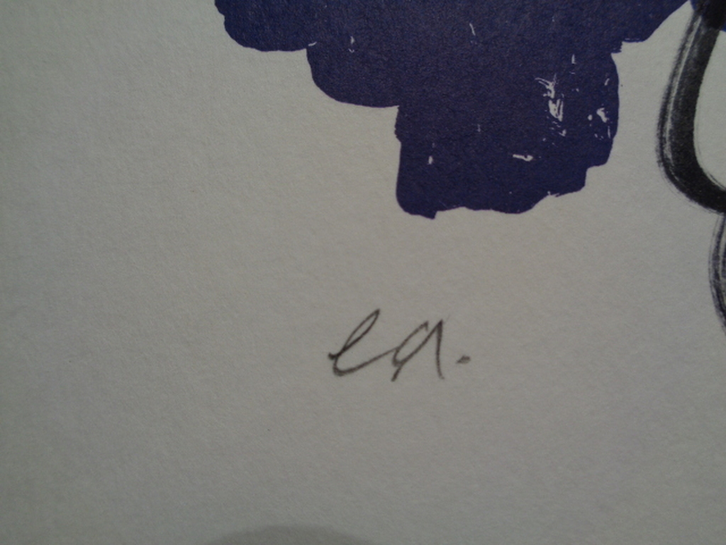 HERMAN BROOD, HANDGESIGNEERDE E.A. Zeefdruk BRASIL GOD kopen? Bied vanaf 89!