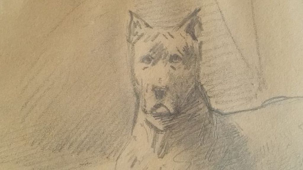 Deense Dog kopen? Bied vanaf 500!