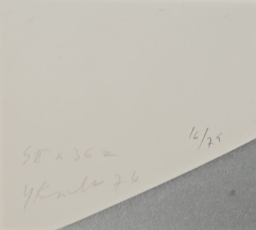 Yvonne Kracht: Zeefdruk, SII no. 36 z kopen? Bied vanaf 40!