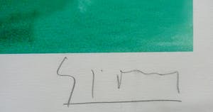 Stefan Szczesny - Stefan Szczesny - grote handgesigneerde Giclee kopen? Bied vanaf 79!